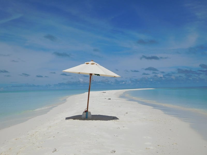 Tropical Beach