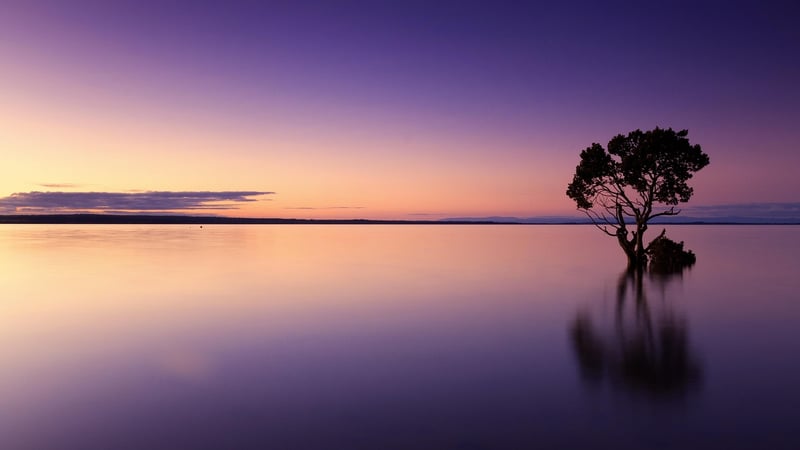 Tropical Sunset